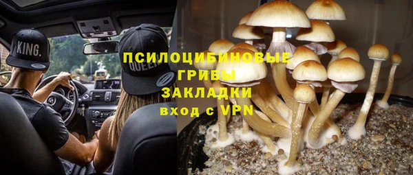 гашик Осташков