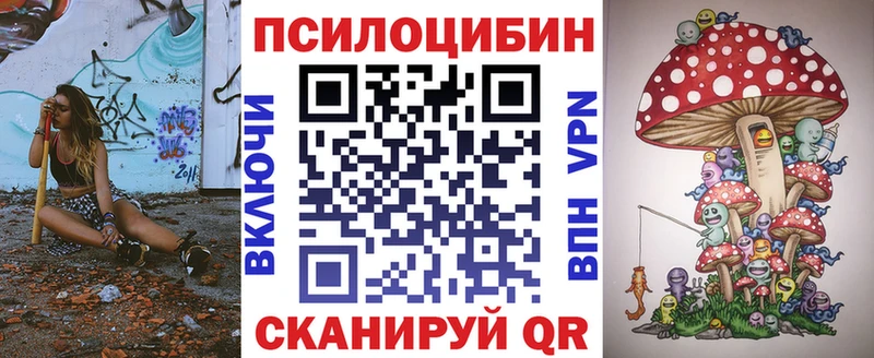Галлюциногенные грибы мицелий  это как зайти  Старая Русса 