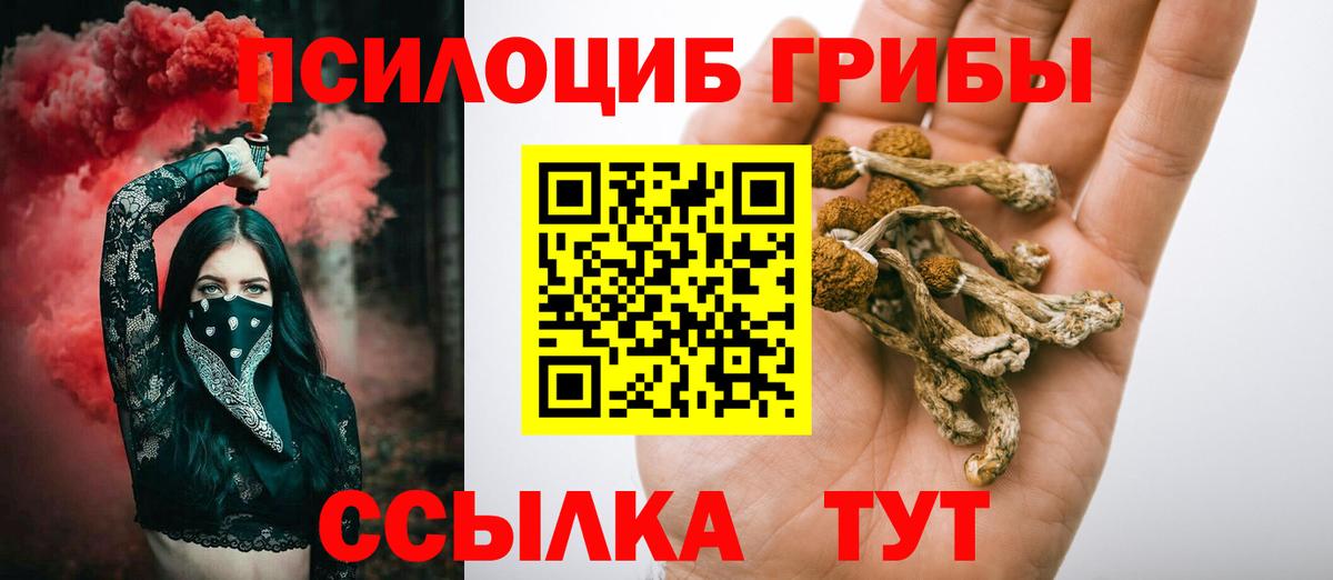 Старая Русса  Псилоцибиновые грибы мицелий  Вход с VPN 